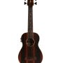 Kala - U-Bass Fretless Acoustic-Electric Bass Ukulele - Striped Ebony - Image 1